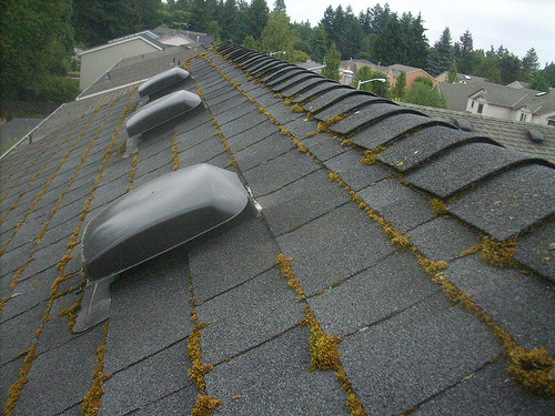 West Coast Roof Cleaning