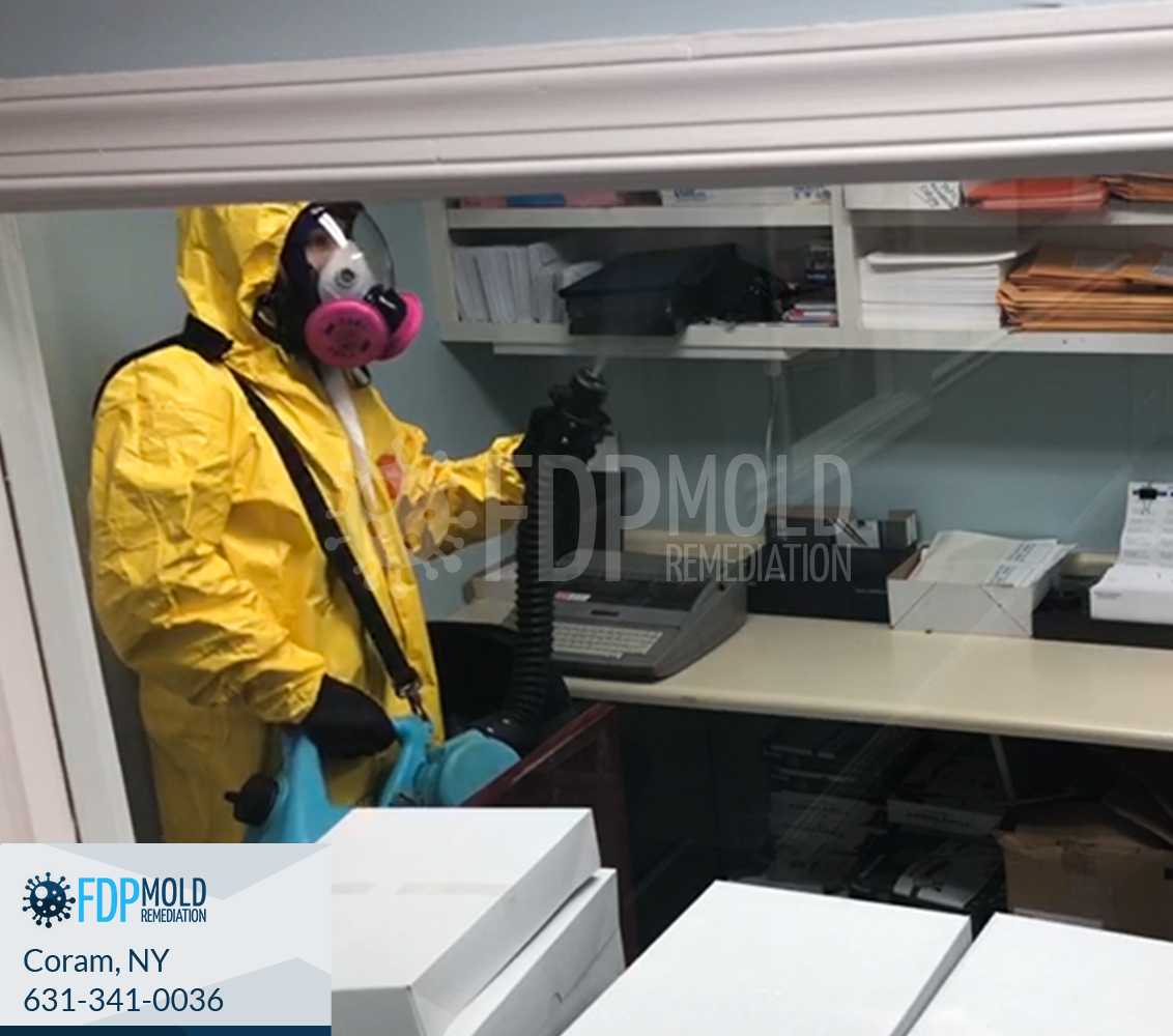 FDP Mold Remediation of Coram
