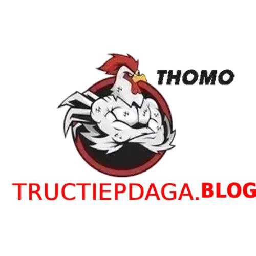 ĐÁ GÀ TRỰC TIẾP BLOG