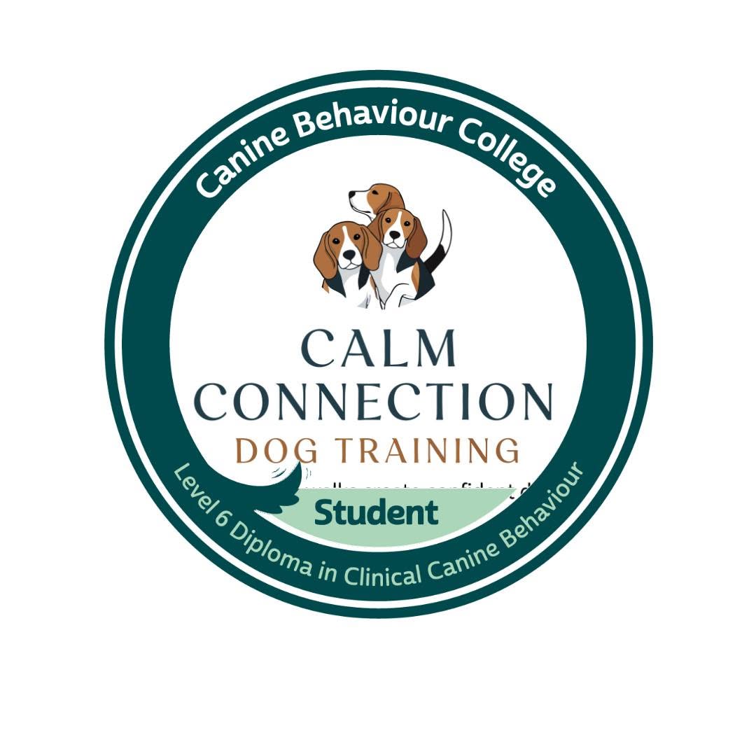 Calm Connection Dog Training