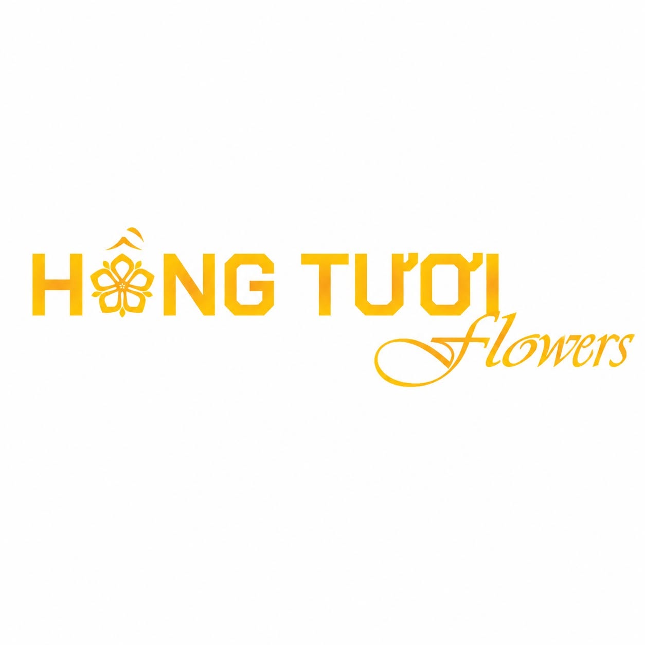 hong tuoi flower