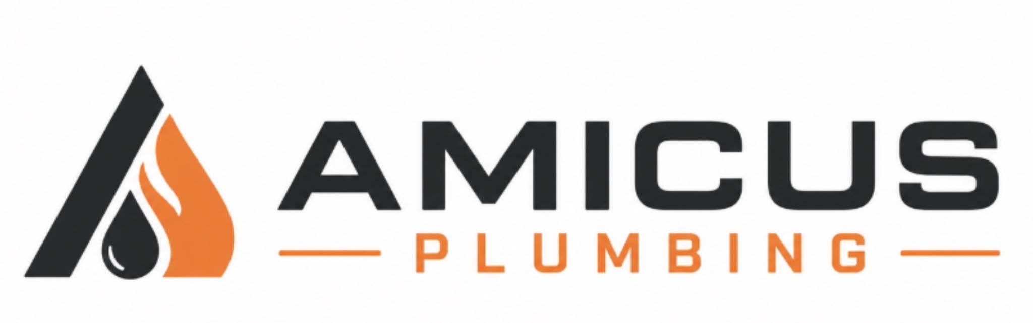 Amicus Plumbing