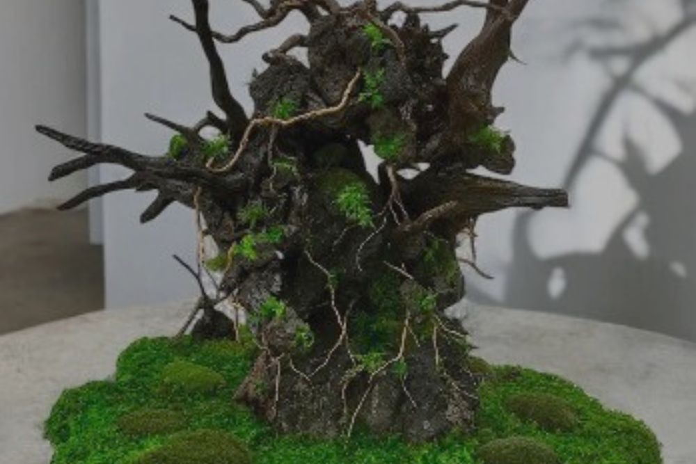 Japanese Moss Style｜苔 アート