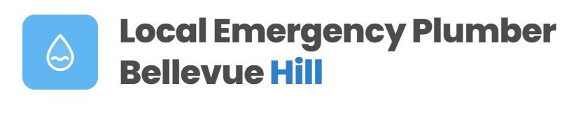 Local Emergency Plumber Bellevue Hill