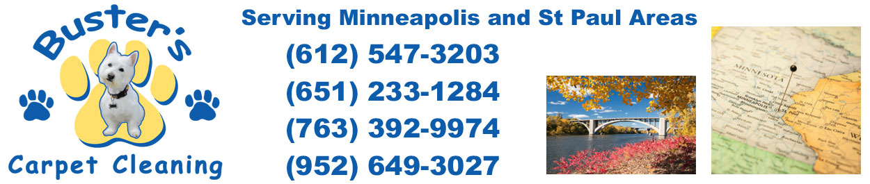 Busters Carpet Cleaning