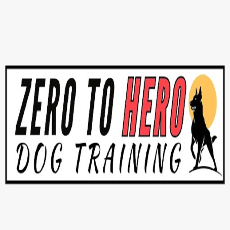Zero To Hero Dog Training