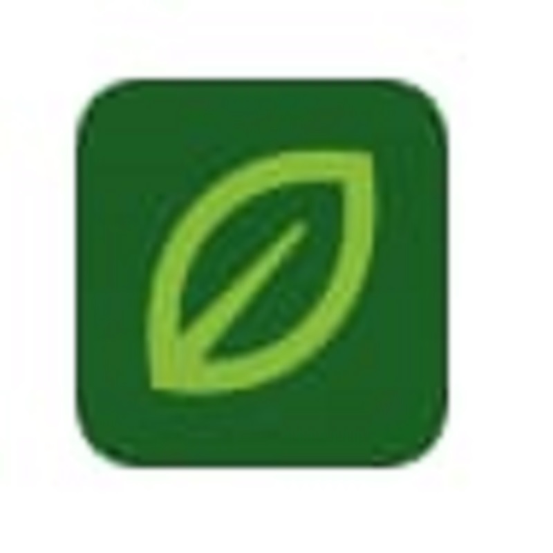 Somerville Lawn Care Experts