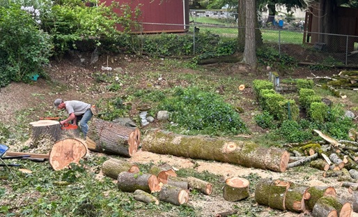 HONEST CUT TREE SERVICE