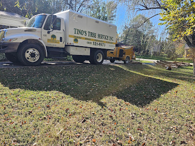 Tino's Tree Service