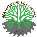 Tree Pruning and Trimming - AAA Advanced Tree Lopping