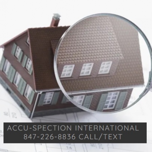 Accu-Spection International