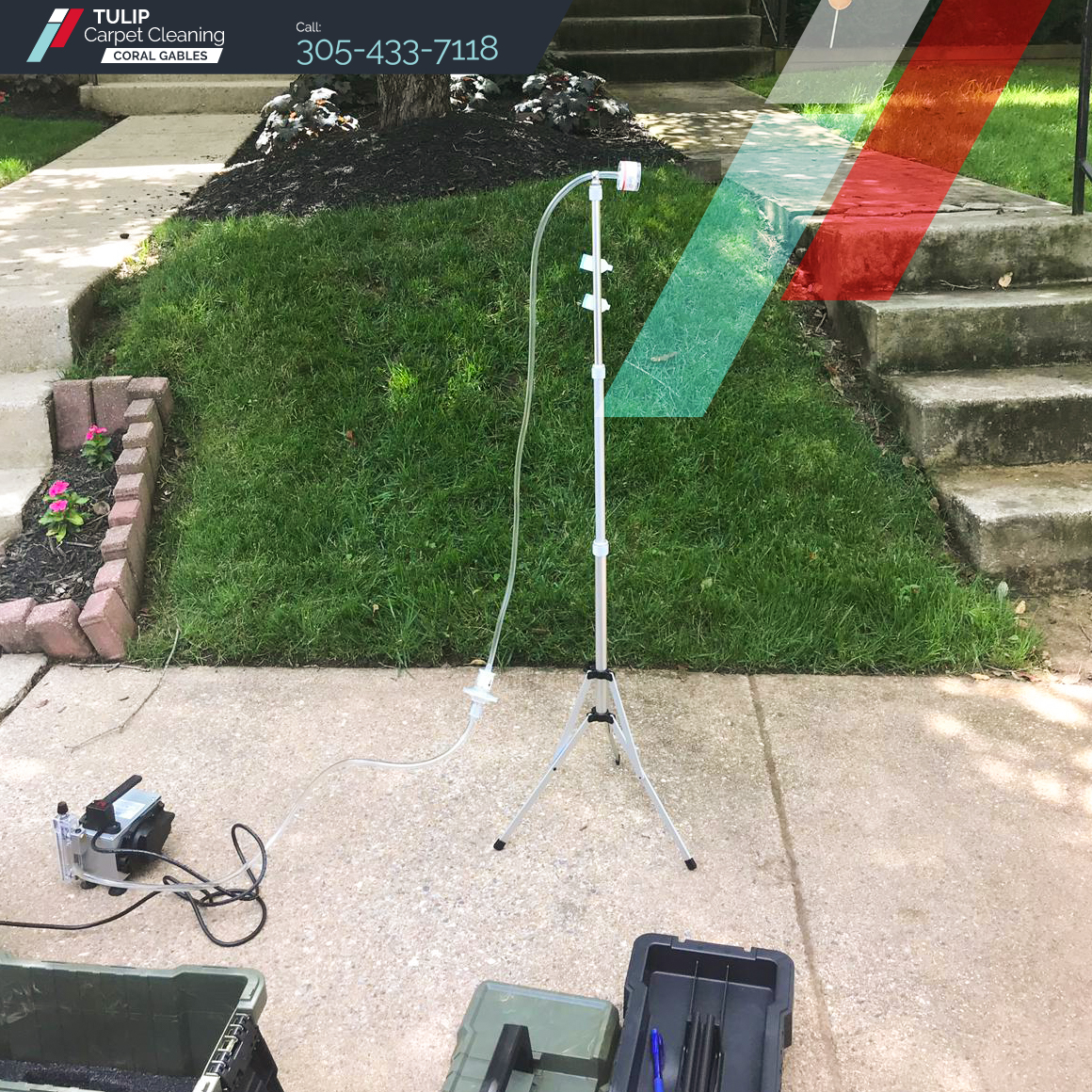 Tulip Carpet Cleaning Coral Gables