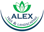 Tree Removal Singletons Mill - Alex Tree and Garden Services