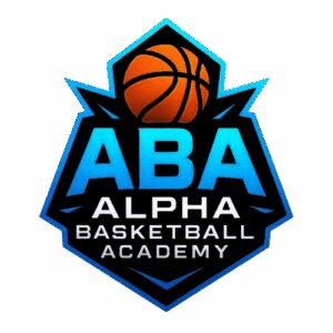 Basketball Training Fairfax VA