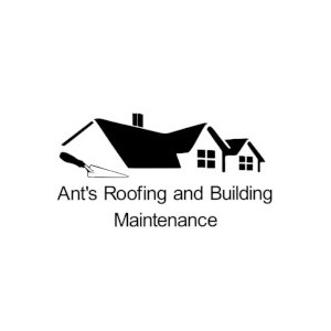 antsroofing