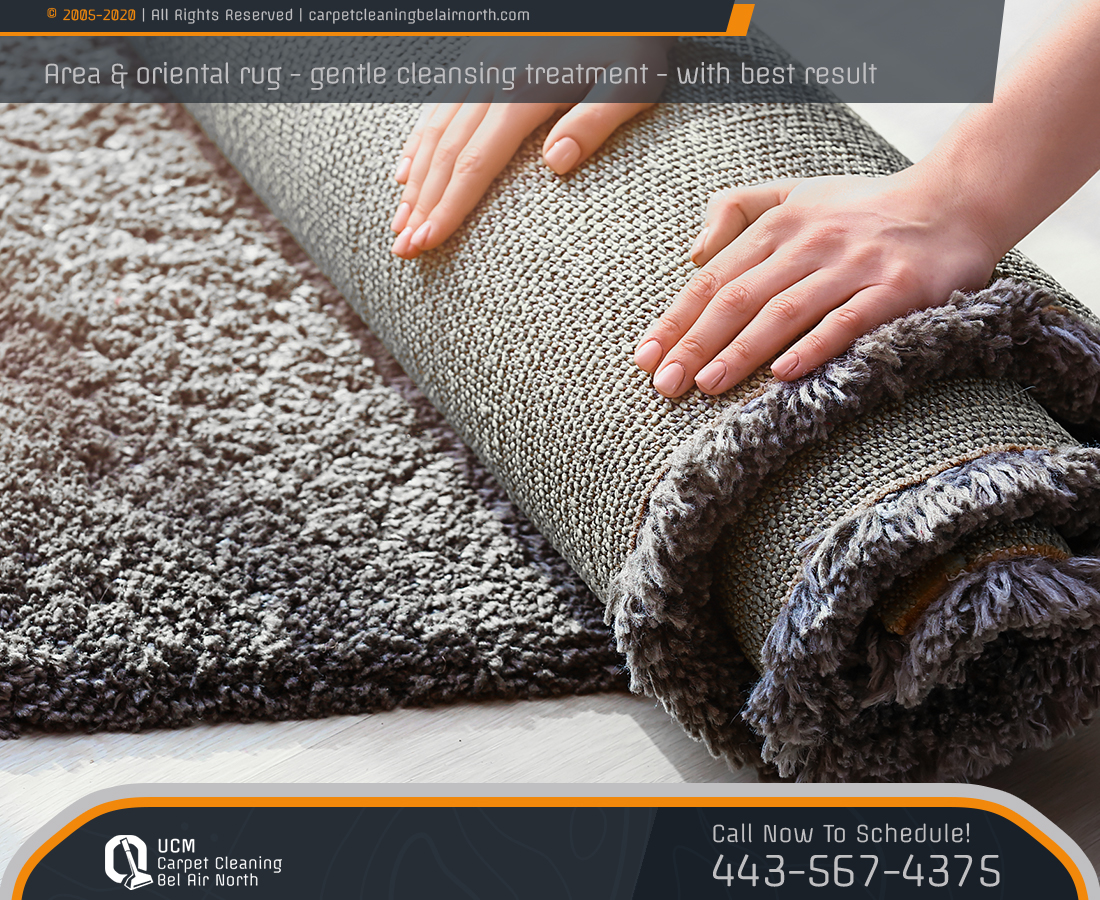 UCM Carpet Cleaning Bel Air North