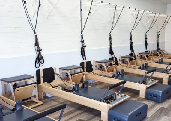 Asstasticashley |Carolina