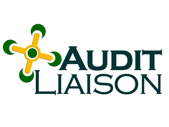 Audit Liaison