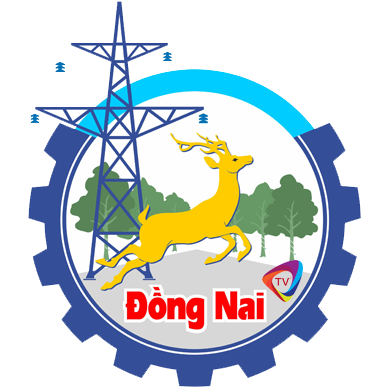 dongnaitv