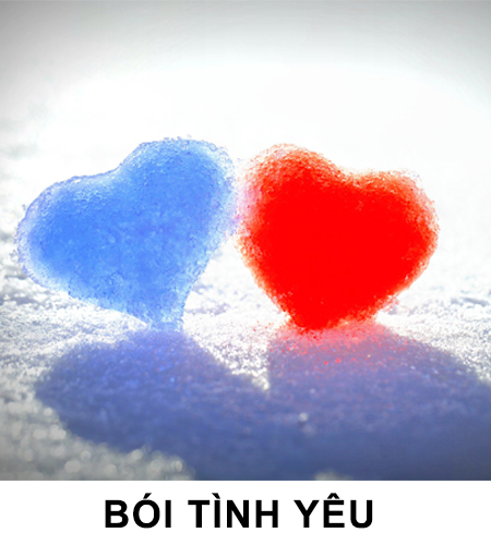 ptsboitinhyeu