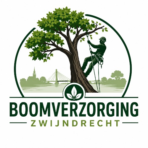 Boomverzorging Zwijndrecht
