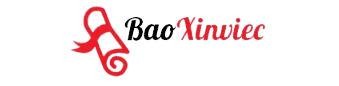 BAO XIN VIỆC