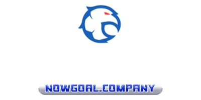 nowgoalcompany