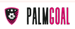 palmbaytowing1vw