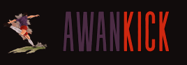 awanincorg1pi