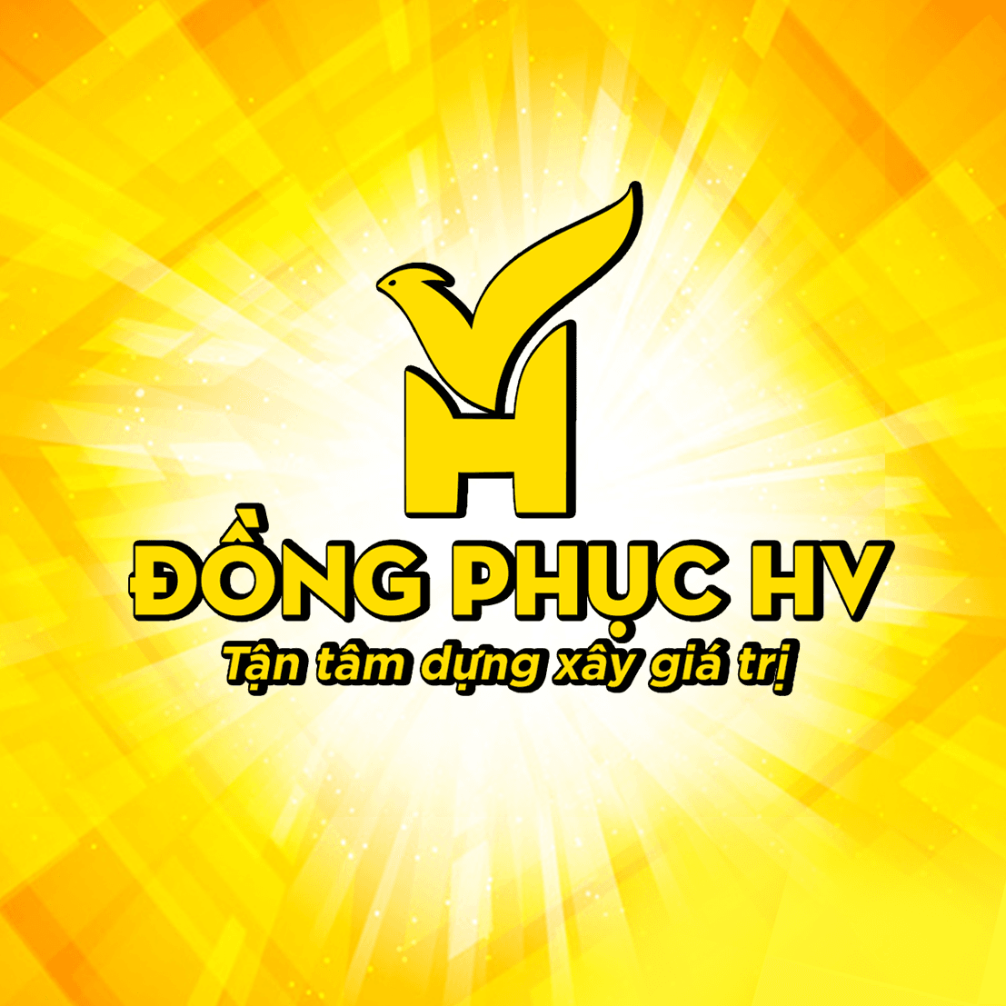 dongphuchvob