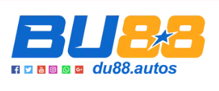 du88autos2