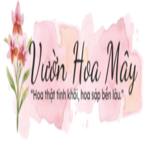 vuonhoamay