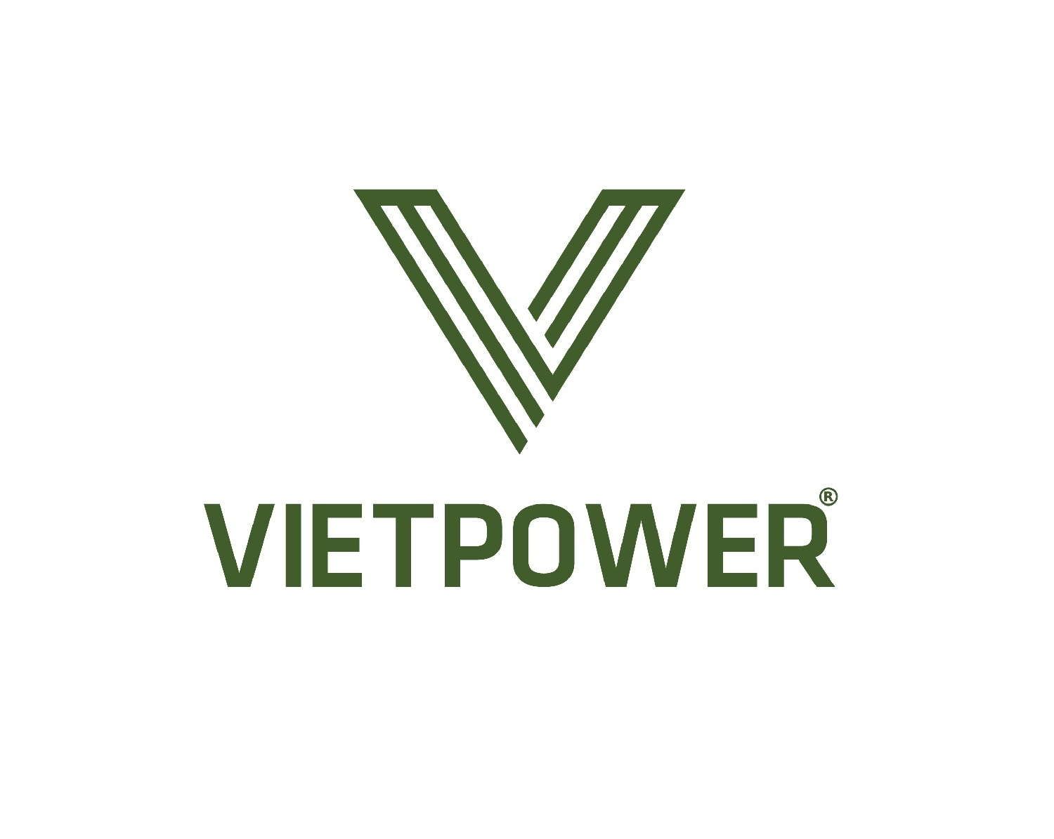 vietpower0001