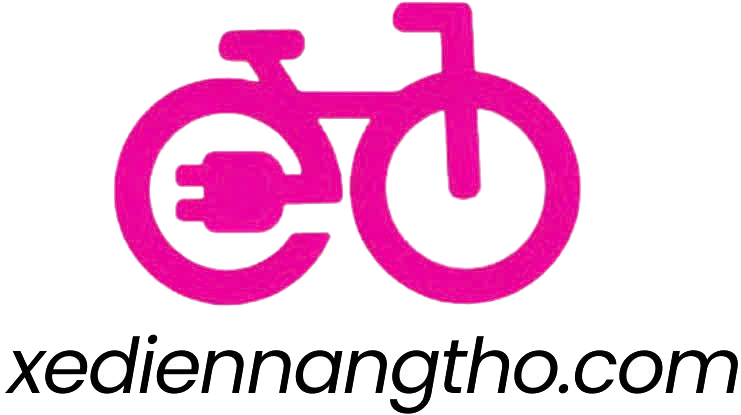 xedapdienhot