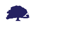 Avenues Therapy Clinic