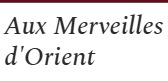 Aux merveilles d'Orient - Spécialiste du nettoyage et restauration de tapis Dijon (21)