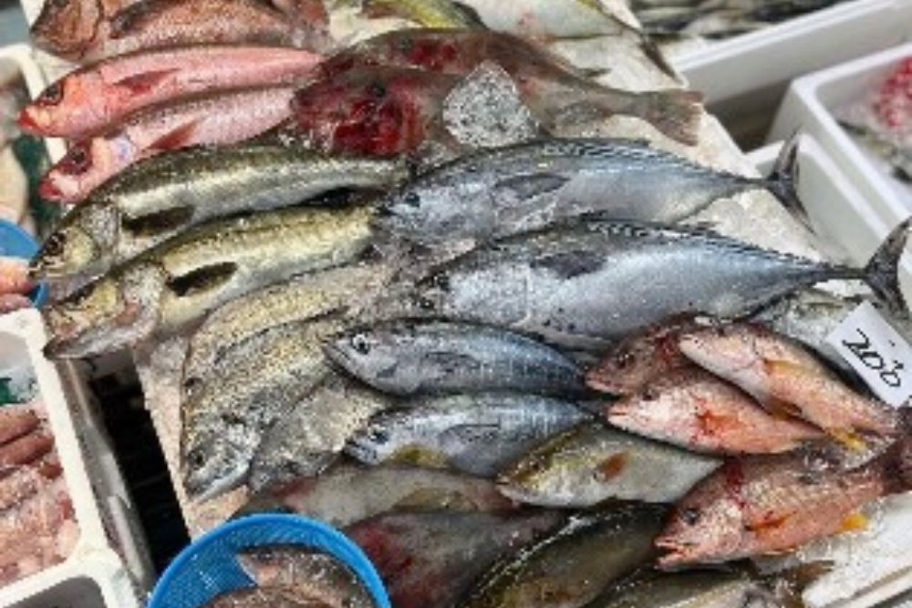 株式会社海幸一番｜愛知県 魚市場