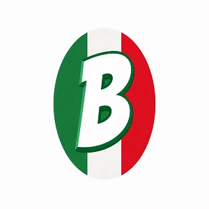 Baja Tours and Transport