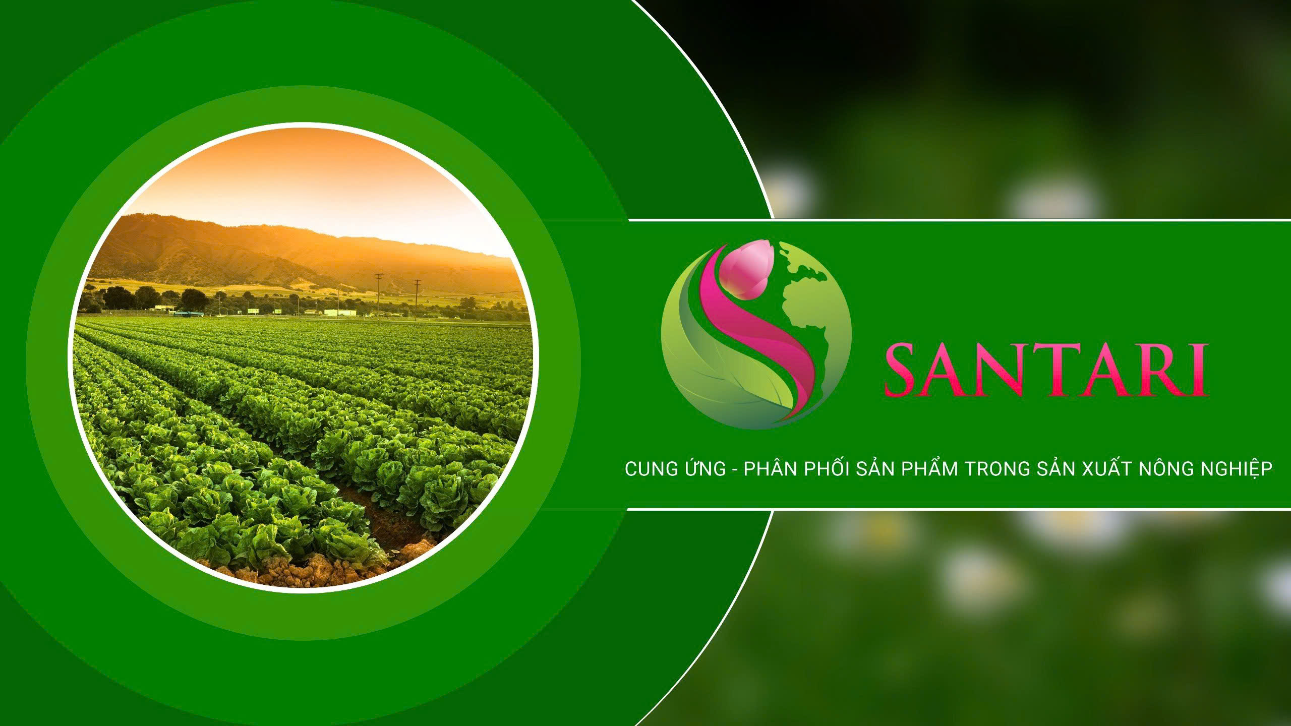 santarivietnam