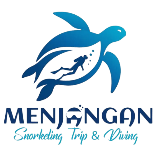 Menjangan Snorkeling Trip & Diving Tour