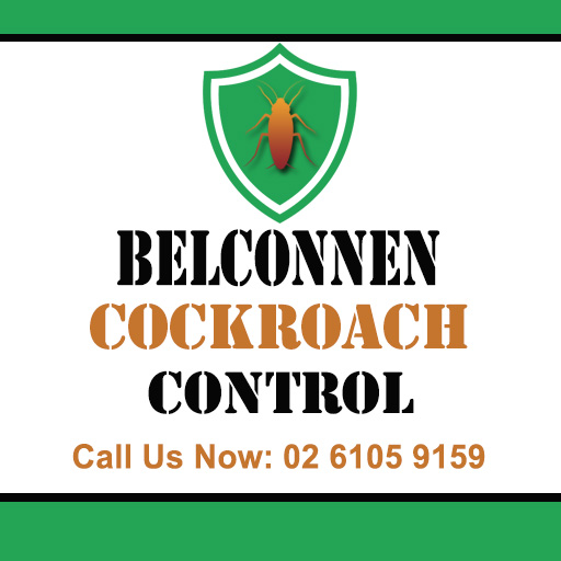 Belconnen Cockroach Control