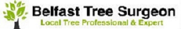 Belfast Tree Surgeon