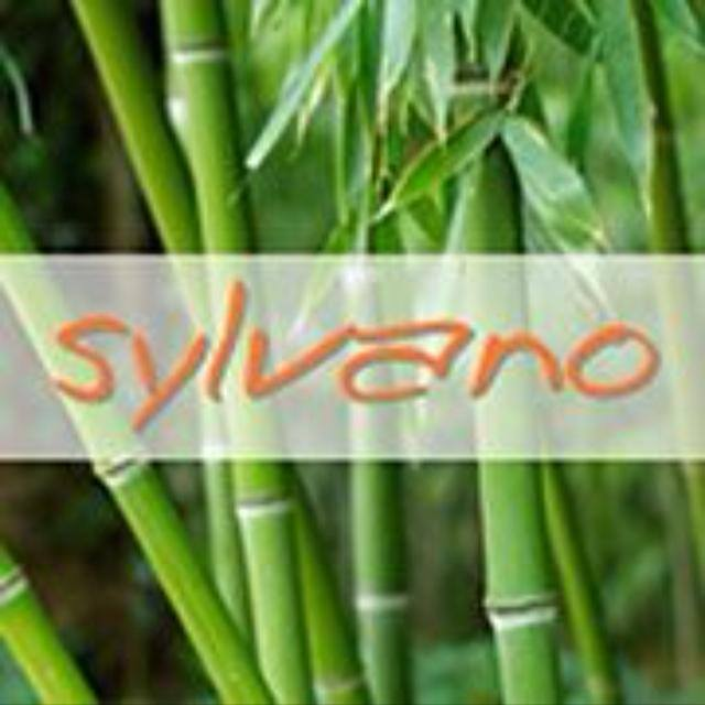 Sylvano Miami