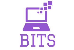 Benchmark IT Services