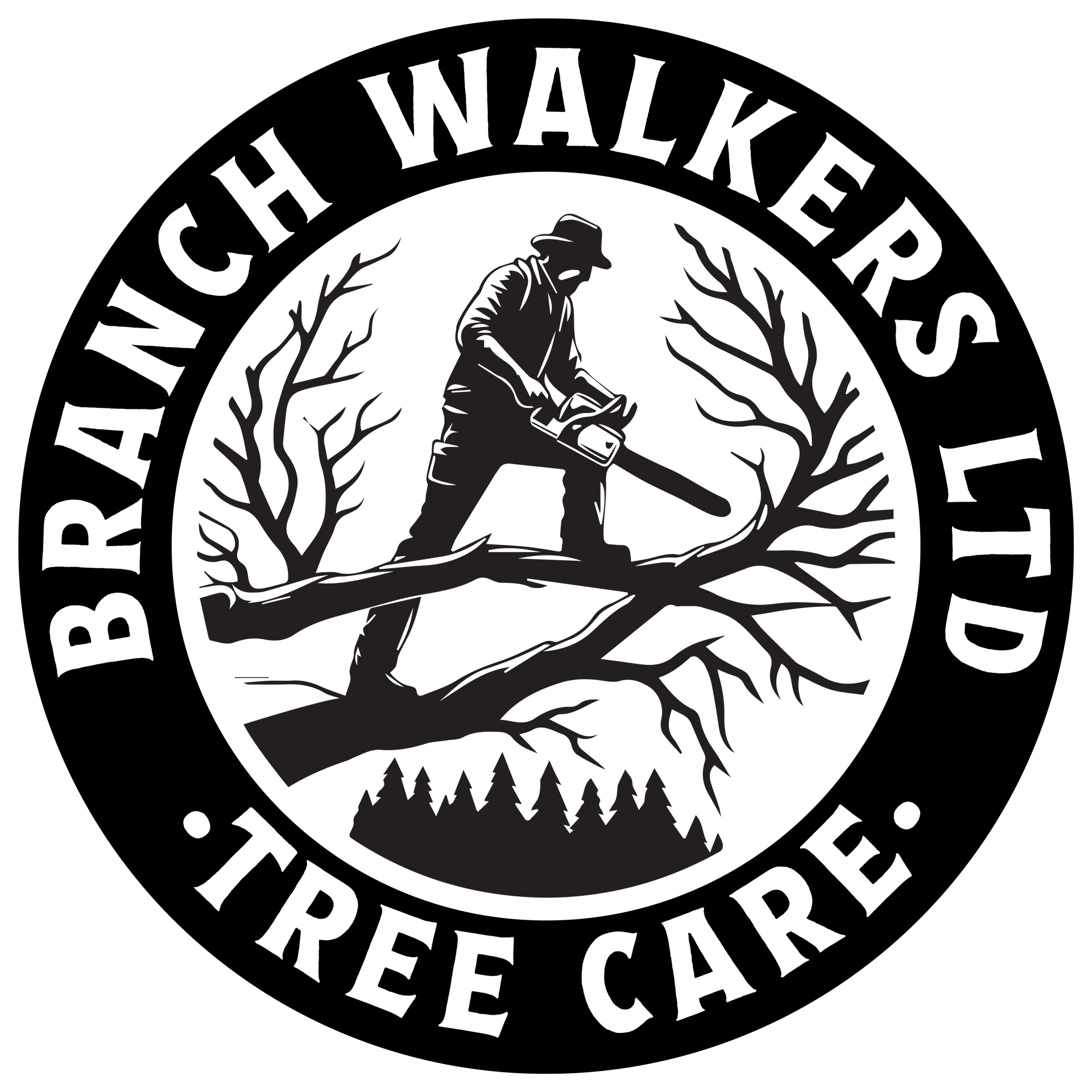 treesurgeonsheffield treesurgeonsheffield