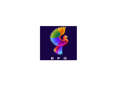 bristolphoenixgroup