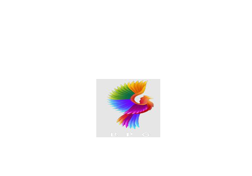Bristol Phoenix Group Ltd