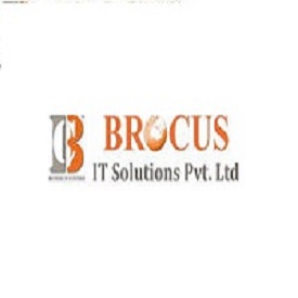 Brocus IT Solution Pvt. Ltd