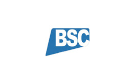 Blue Sapphire consultancy