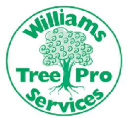 Williams Tree Pro Services
